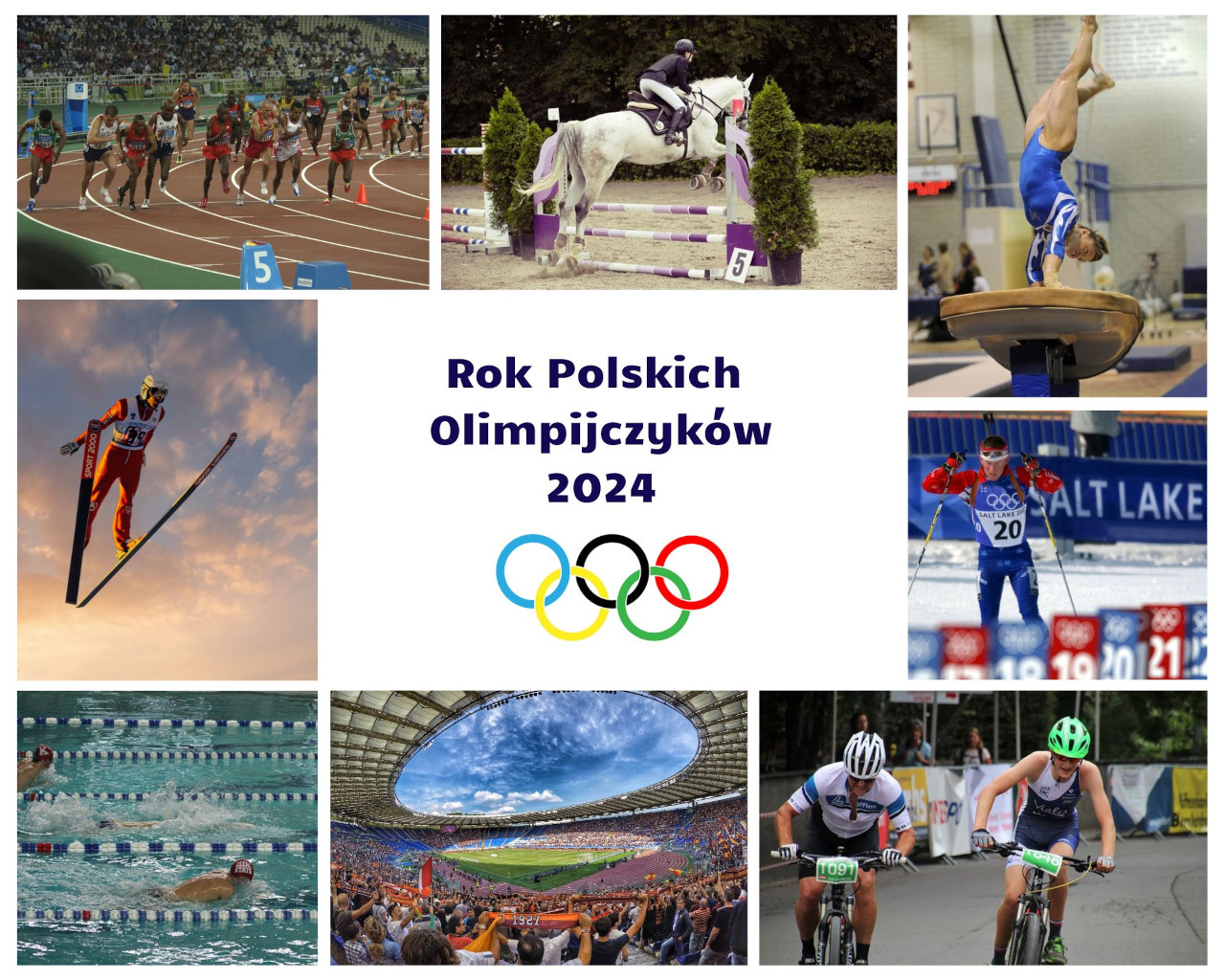Rok Polskich Olimpijczyków - ilustracja